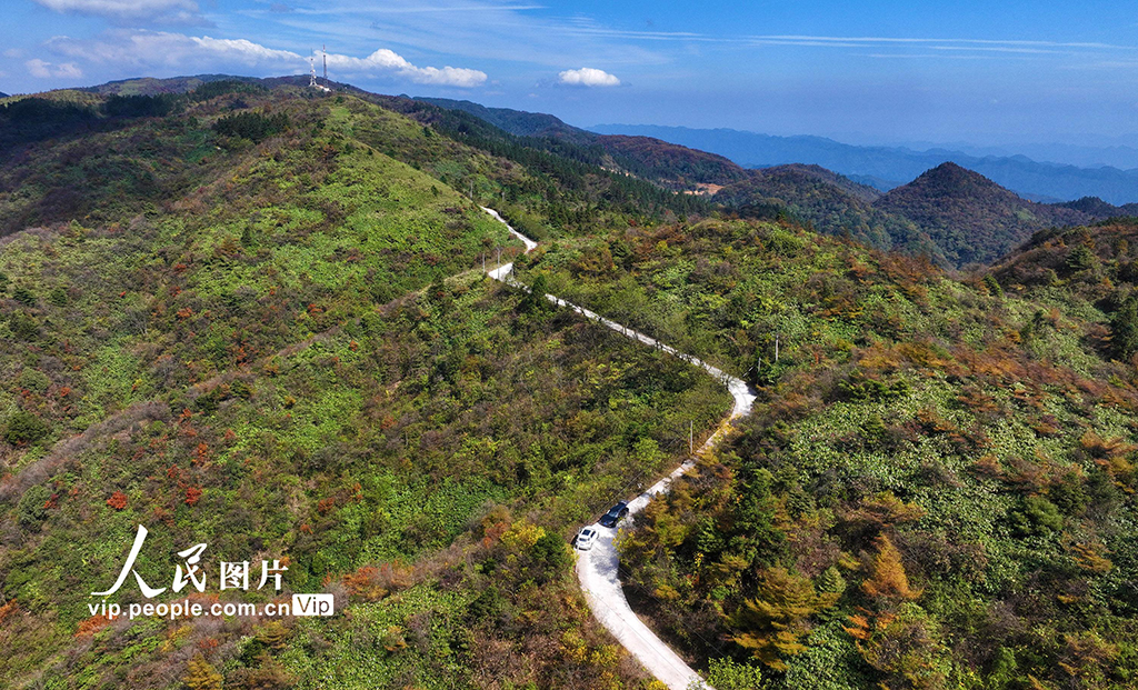 �ؑcǭ�����f�����~�����\��